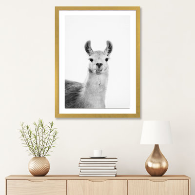 " Happy Lama " by Sisi & Seb