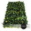 1.6 ft. H x 9 ft. W Bamboo Privacy Screen