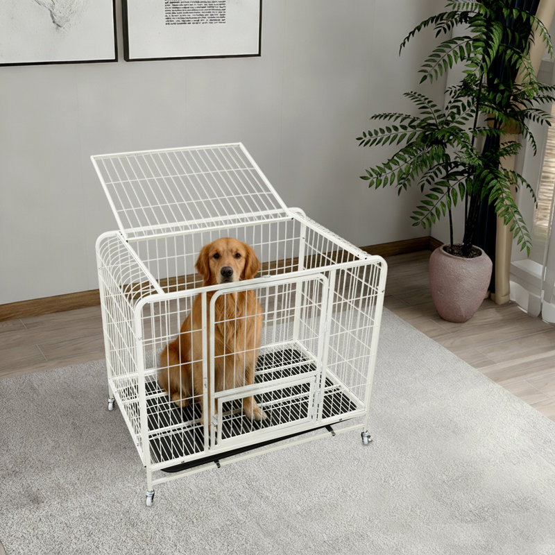 Cage pour chien avec plateau Cage pour chien avec roues