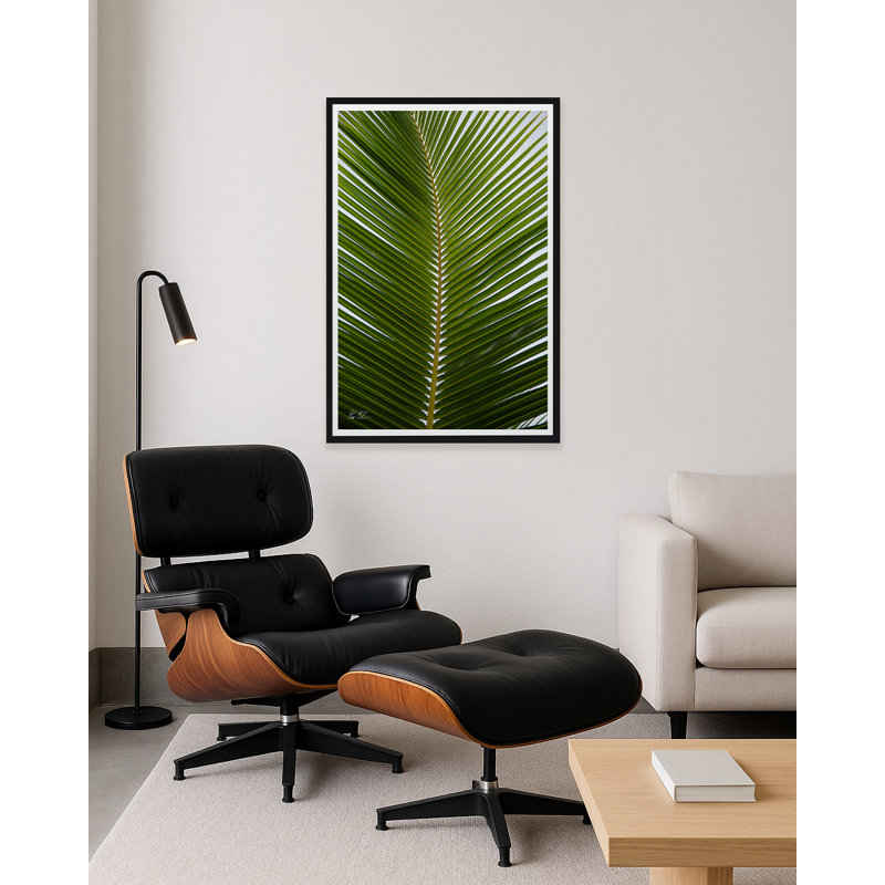 Palmier tropical, H 30 po x l 20 po x P 1,5 po, Lustre photo encadré, Noir