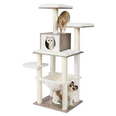 Garyville 54.3'' H Cat Tree