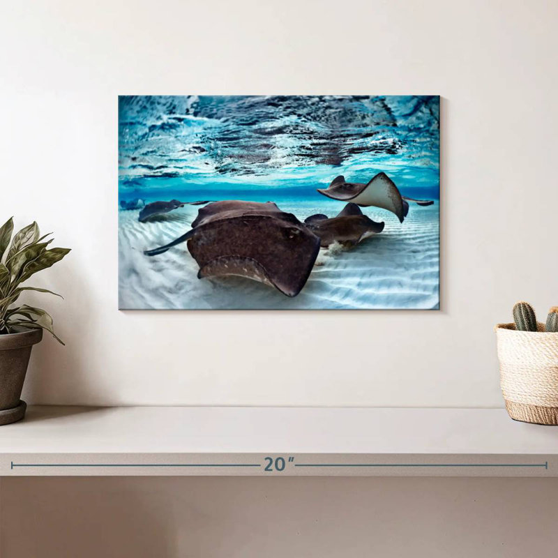 Brampt Stingrays Sea Life, 8" H x 12" W