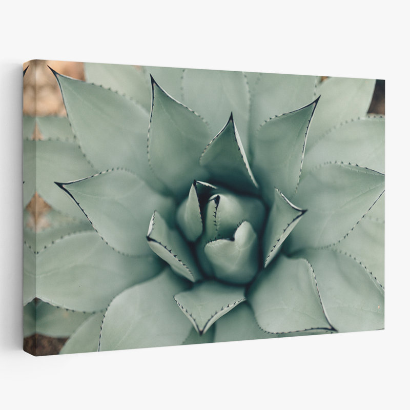 Plantes, fleurs, paysage, nature, somptueux art mural, H 16 po x l 24 po