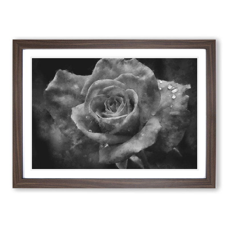 White Rose Flower Painting - Picture Frame Graphic Art, 36cm H x 48cm W x 2cm D, Walnut