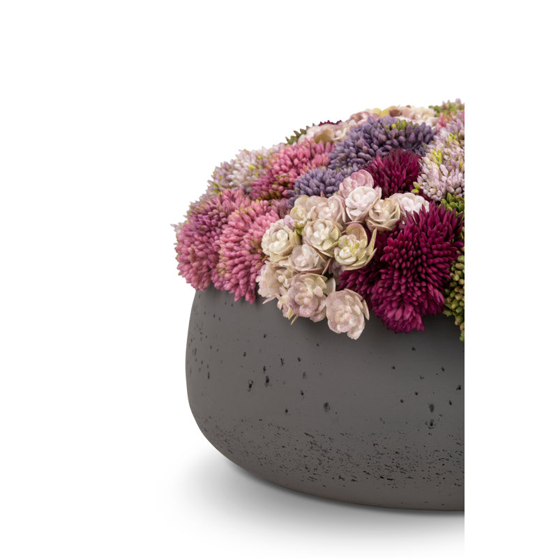 Ariane Sedum Arrangement, Charcoal