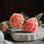 Peony Arrangement-1393668536