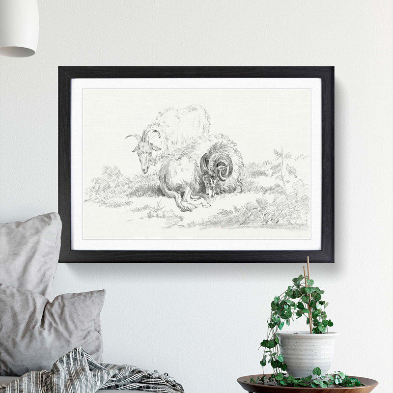 Sketch of Two Goats by Jean Bernard - Picture Frame Drawing Print, 27cm H x 36cm W x 2cm D, Black Framed