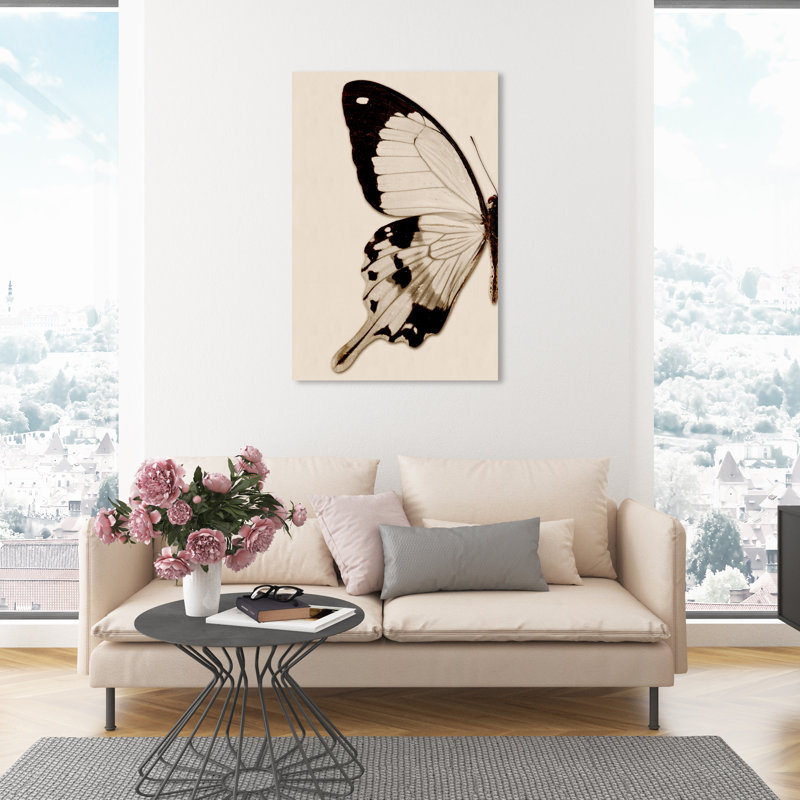 Animaux, papillon sépia I, insectes - Impression sur toile, H 45 po x l 30 po, Toile tendue