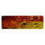 Runner Mandujano Abstract Shag 68cm X 235cm Area Rug