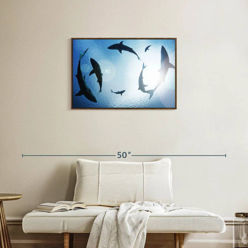 School Of Sharks, Floating Frame Walnut, 31" X 21"