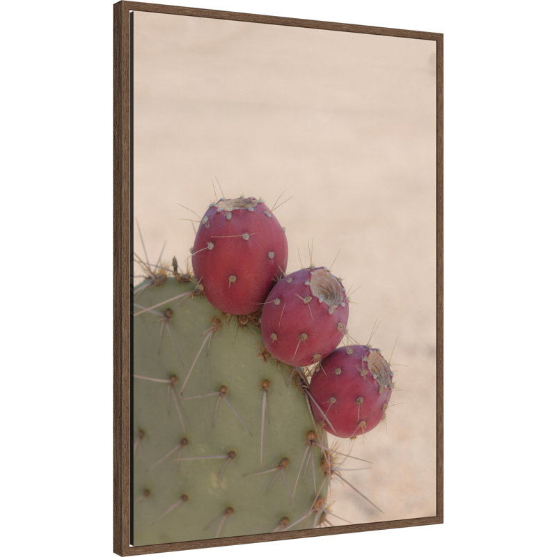 «Modern Close Up Cactus» par Stephanie Klatt, reproduction d'art sur toile encadrée, 23 x 35, Noyer Sylvie