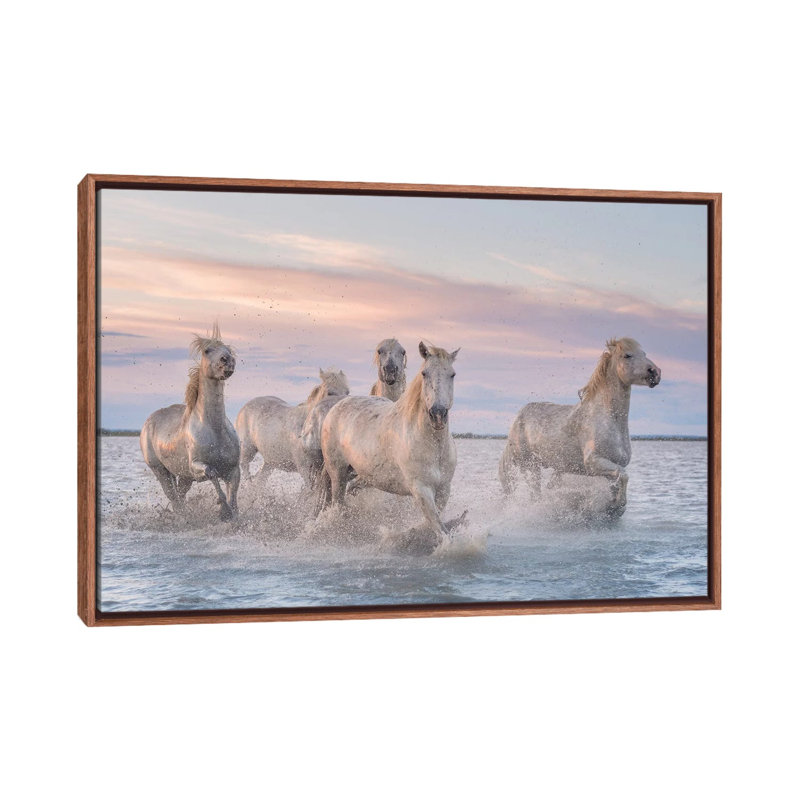 White Angels Of Camargue XXXI by Daniel Kordan - Print on Canvas, 66.04 cm H x 45.72 cm W, Classic Brown Wood Framed