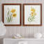 Ochre botanique I - ensemble de 2 reproductions d'art-451386746-451386744-451386720