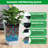 2 Pack 16 Inch White Tall Rattan Style Planters Plant Pots with Drainage Hole & Water Level View Window Decorative Flower Containers for Indoor Outdoor Porch Patio Balcony Garden Use