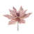 Rose est en rupture de stock