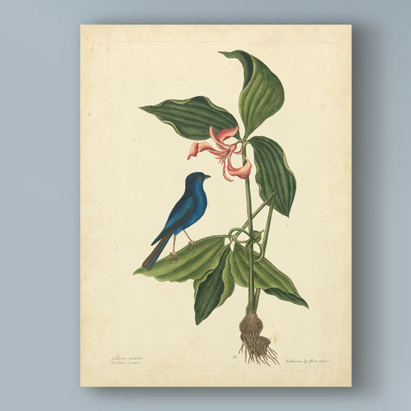 «Bird And Botanical IV», reproduction d'impression sur toile tendue, H 24 po x l 18 po x P 2 po
