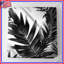 Couvre-lit Palmier Silhouette-125060196-134513661