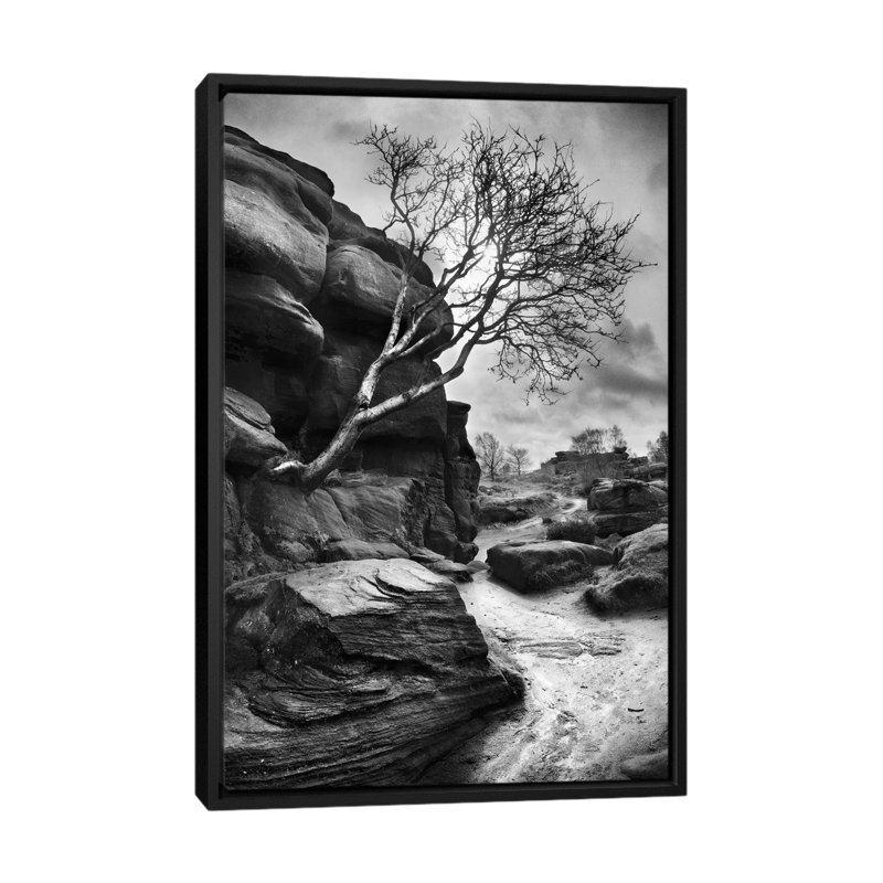 « outcrop », reproduction de photo sur toile, H 26 po x l 18 po x P 1,5 po, Toile avec cadre noir, Pas de tapis