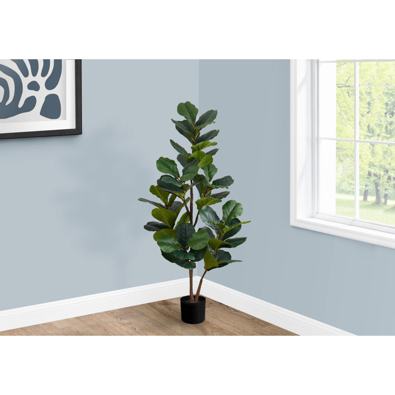 Plante en fausse figue en pot de polyéthylène