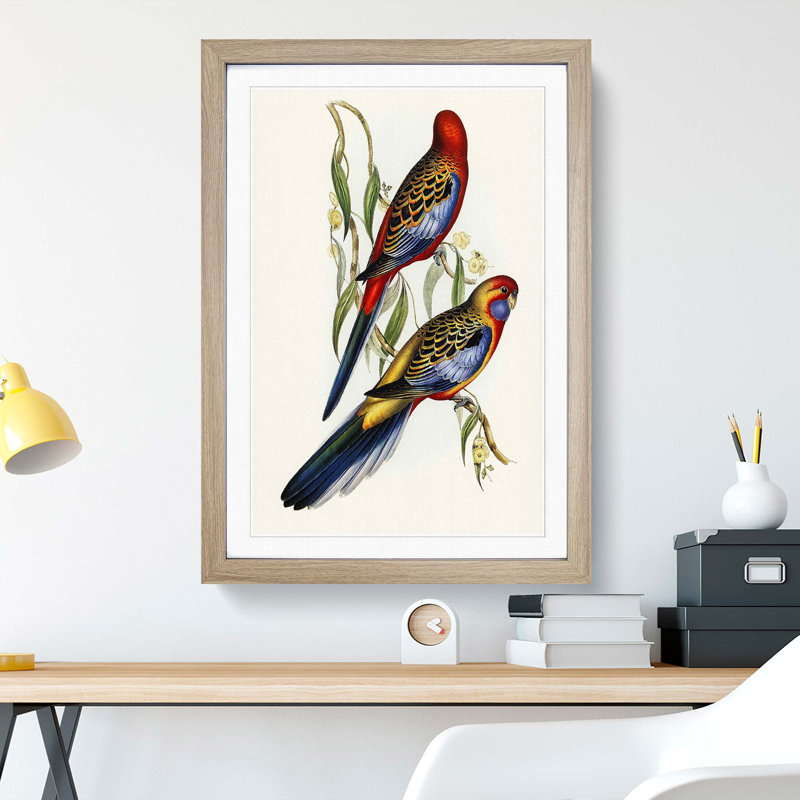 Adelaide Parakeets 1 Piece Single Picture Frame Painting, 45cm H x 33cm W x 2cm D, Oak Framed