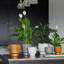 Aries Glazed Handle Planter-809274184