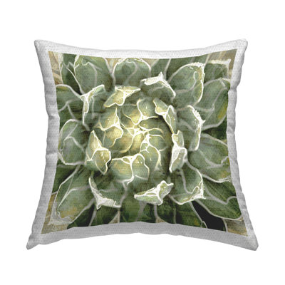 Floral Indoor/Outdoor Throw Pillow