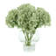 Hydrangea Bouquet-1894723916