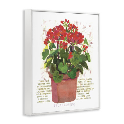 Red Potted Geranium Framed Giclee Art by Nancy Overton