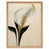 Light Brown Framed Paper