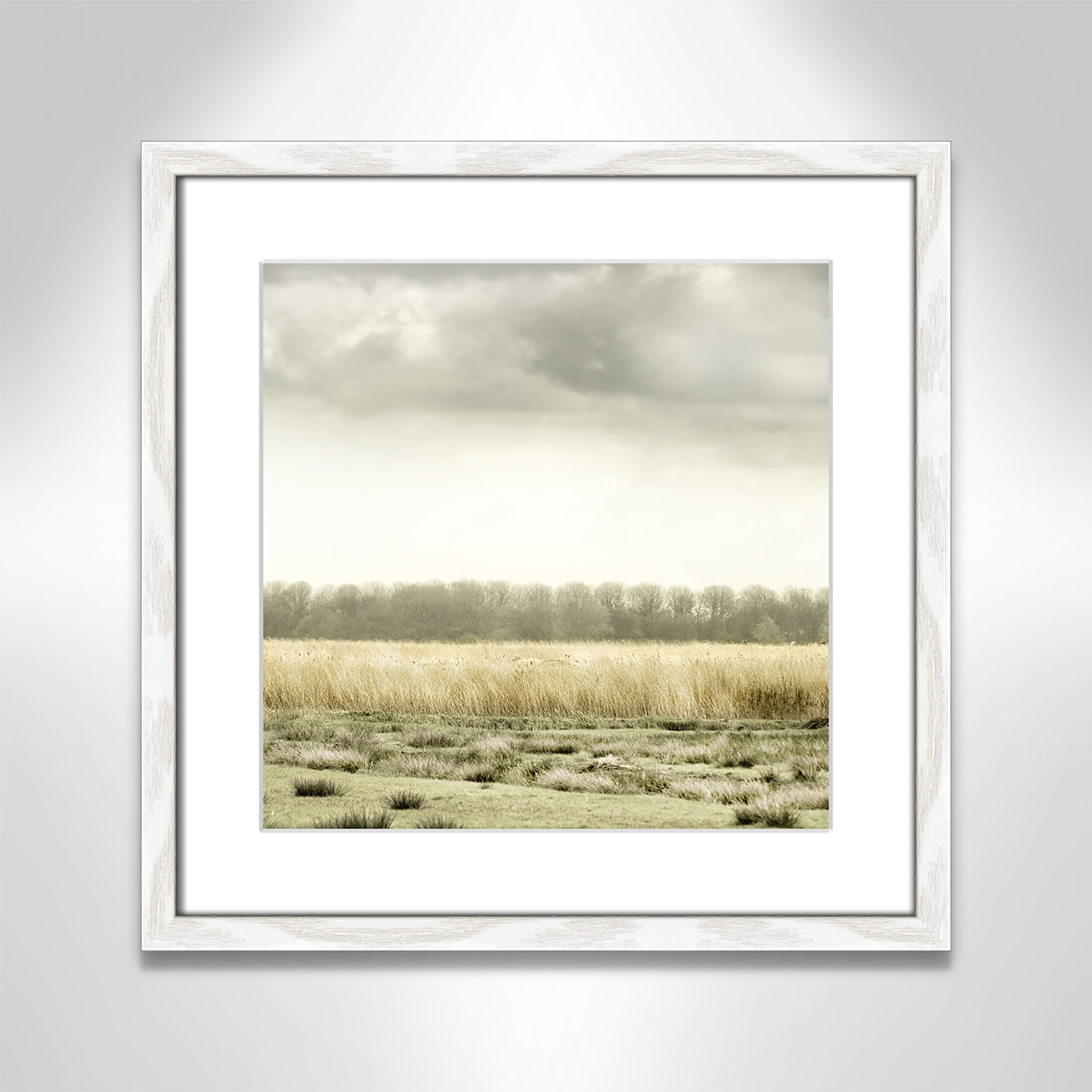 Henri "Meadowland" Print by Danita Delimont, White Wood Grain, 18" H x 18" W 