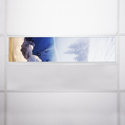 Landscape Rectangle Fixture Component Ceiling Light
