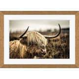 Highlands Cow Giclee Print by Soicher Marin Archives