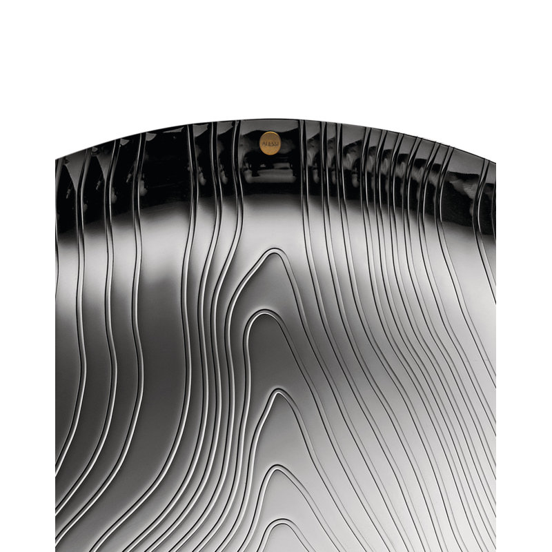 Stainless Steel Tray