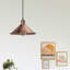 Stankiewicz 1 - Light Copper Single Pendant