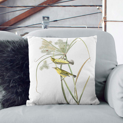Square Cushion