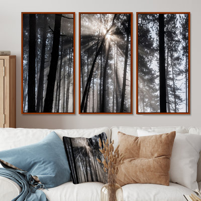 Rayons de soleil à travers la forêt blanche noire - ensemble d'art mural sur toile encadré forêt