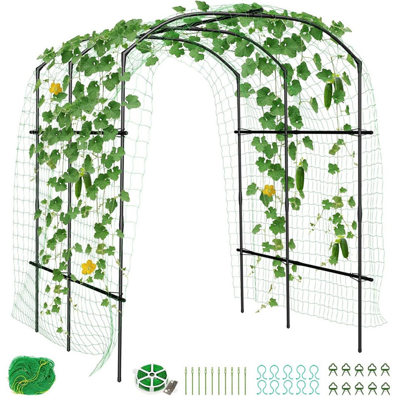 Garden Arch Trellis