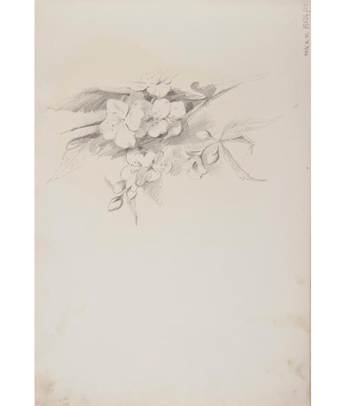 "Sketches of Flowers" by  Ferdynand Bryll - Gallery Wrap Canvas Wall Art, 24" H x 17" W