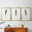 Found Feather I - Impression personnalisée de qualité supérieure avec cadre mat - 3 pièces-1568945645-1568945646