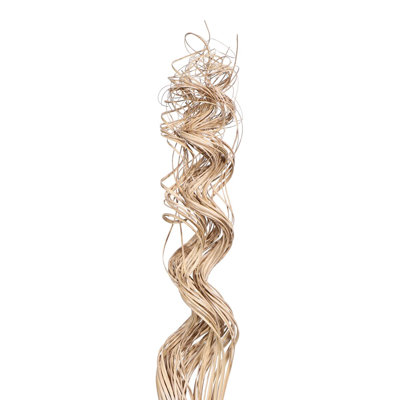 Curly Ting Arrangement