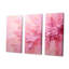 Lugenia - Fuschia, ensemble d'art mural-107772821-107772825