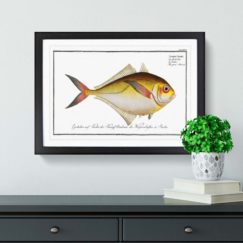 Green Mackerel Fish by M.E. Bloch - Picture Frame Painting Print, 48cm H x 65cm W x 2cm D, Black Framed