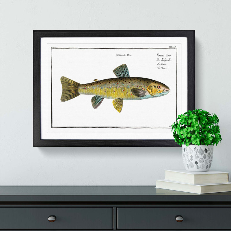 Trout Fish by M.E. Bloch - Framed Print, 36cm H x 48cm W x 2cm D, Black Framed