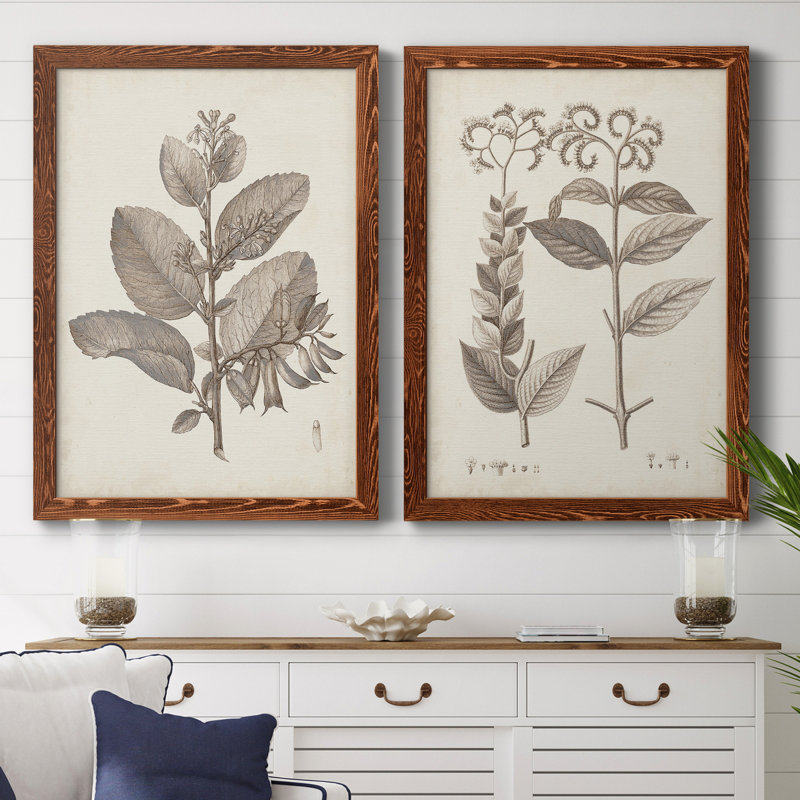 Toile encadrée antique Premium sépia Botanicals - prêt à accrocher, Toile avec cadre érable, H 31,5 po x l 47 po x P 1,5 po