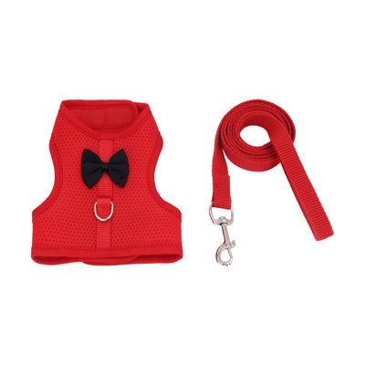 Ensemble de harnais et de lapin Rabbit