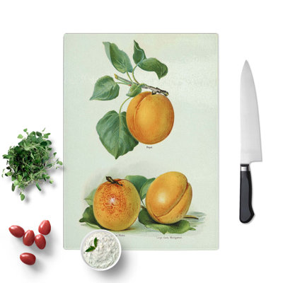 Tempered Glass Vintage Illustration of Apricots Chopping Board