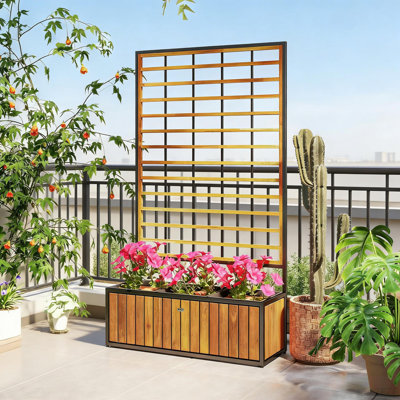 Lit de jardin surélevé en bois avec treillis