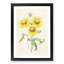 Yellow Blanket Flowers by Pierre-Joseph Redoute - Picture Frame Painting Print-55614098-55614108