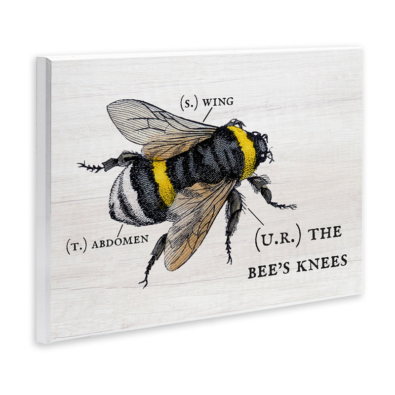 «Anatomy of Honey Bee Pun» par Daphne Polselli, reproduction d'art graphique, H 13 po x l 19 po