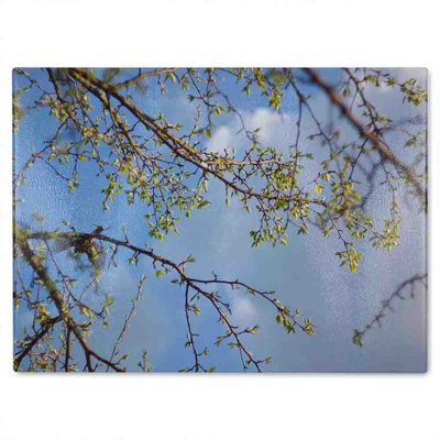 Tree Branches  Sky Glass Chopping Board